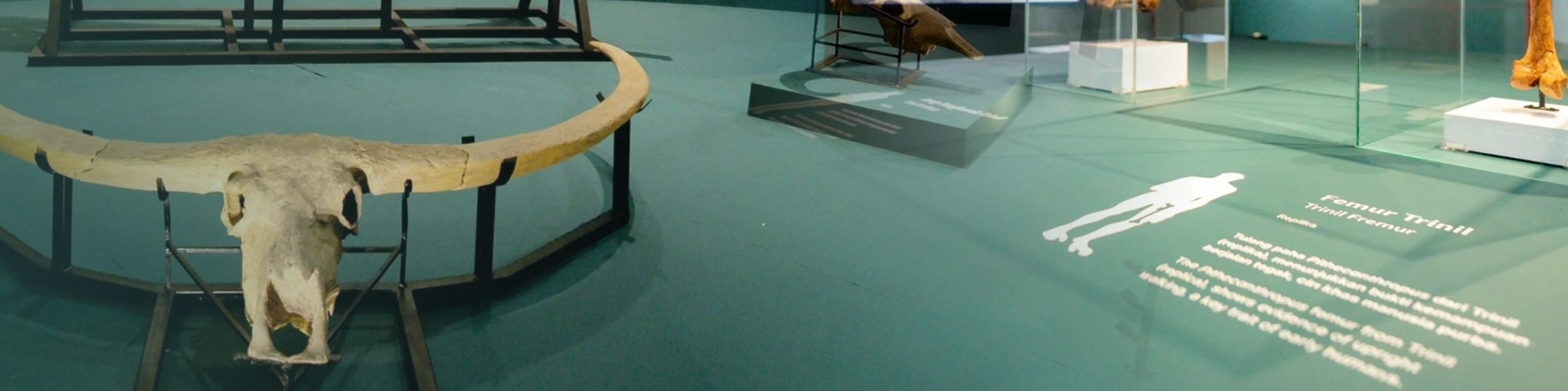 Museum Bantimurung